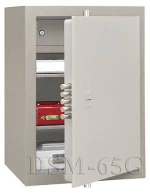 DSM-65 G