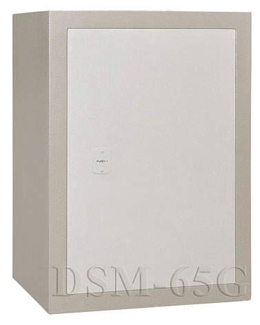 DSM-65 G DSM-65 G