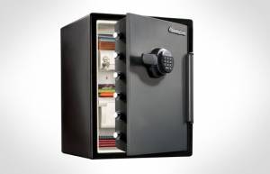 SentrySafe SFW205FYC