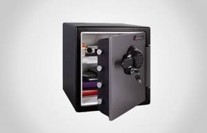 SentrySafe SFW123GTC