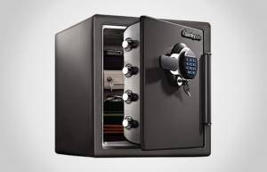 SentrySafe STW123GDC